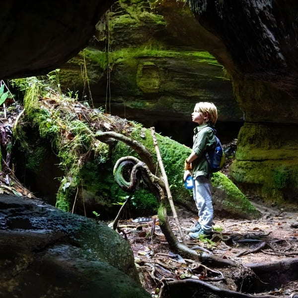 Mirante do Gavião Amazon Lodge
