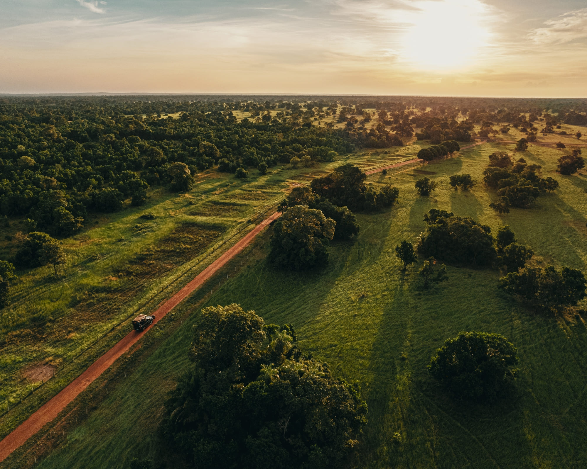 Comment aller au Pantanal au Brésil
