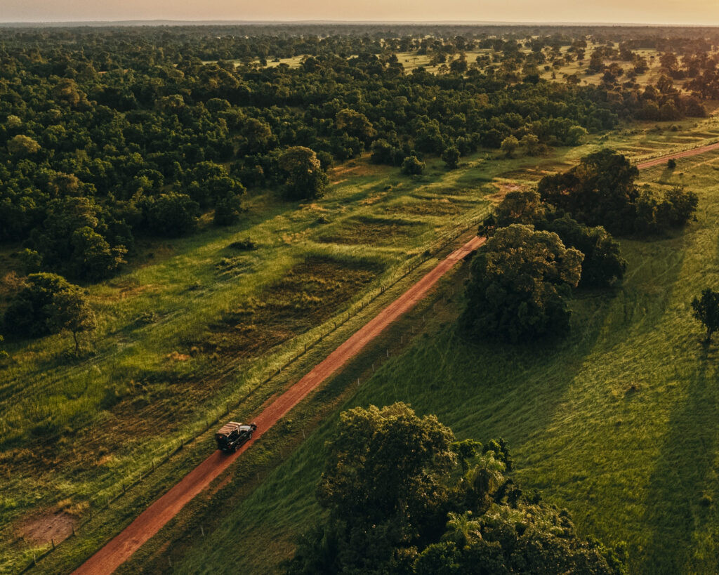 Aerial view of a safari vehicle driving on a red dirt road through the lush green wetlands of the Pantanal at sunset.