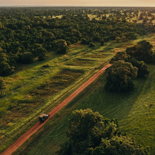 Aerial view of a safari vehicle driving on a red dirt road through the lush green wetlands of the Pantanal at sunset.
