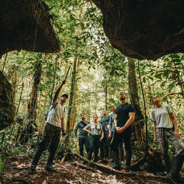 Um grupo de turistas e um guia olhando para a copa das árvores enquanto exploram uma trilha densa na Floresta Amazônica.