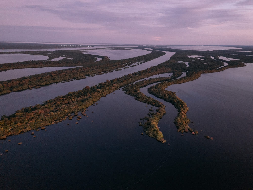 Aerial panorama of the Amazon river channels and lush green islands, highlighting the massive watershed and freshwater ecosystem of the basin.