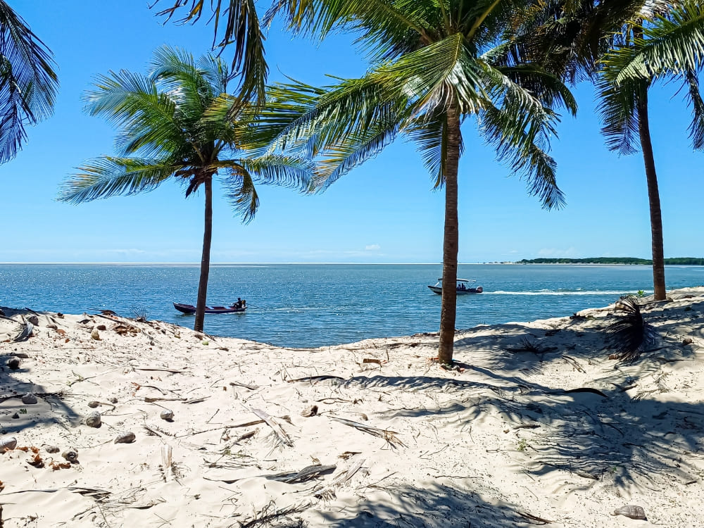 Hoge palmbomen werpen schaduwen op een wit strand met uitzicht op kalme oceaanwateren waar boten varen, wat de route illustreert: hoe kom je in de Lençóis Maranhenses.