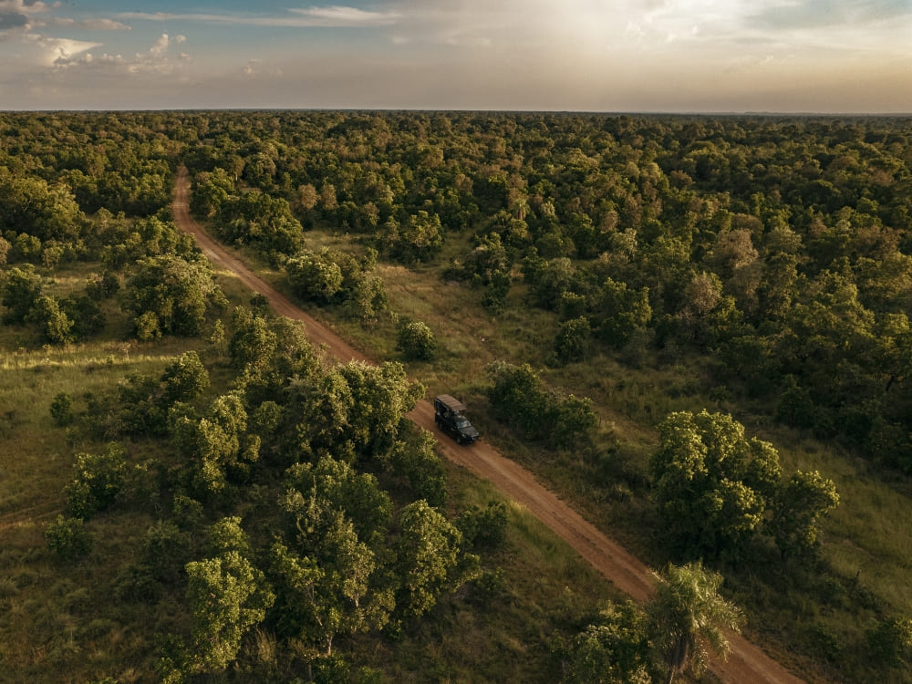 Aerial view of a 4x4 vehicle driving along a long dirt road surrounded by dense trees and vegetation.