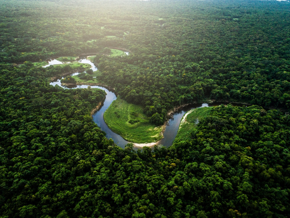 Aerial view of a winding river surrounded by the dense green vegetation of the Amazon Rainforest in Brazil. Aerial view of a winding river surrounded by the dense green vegetation of the Amazon Rainforest in Brazil.