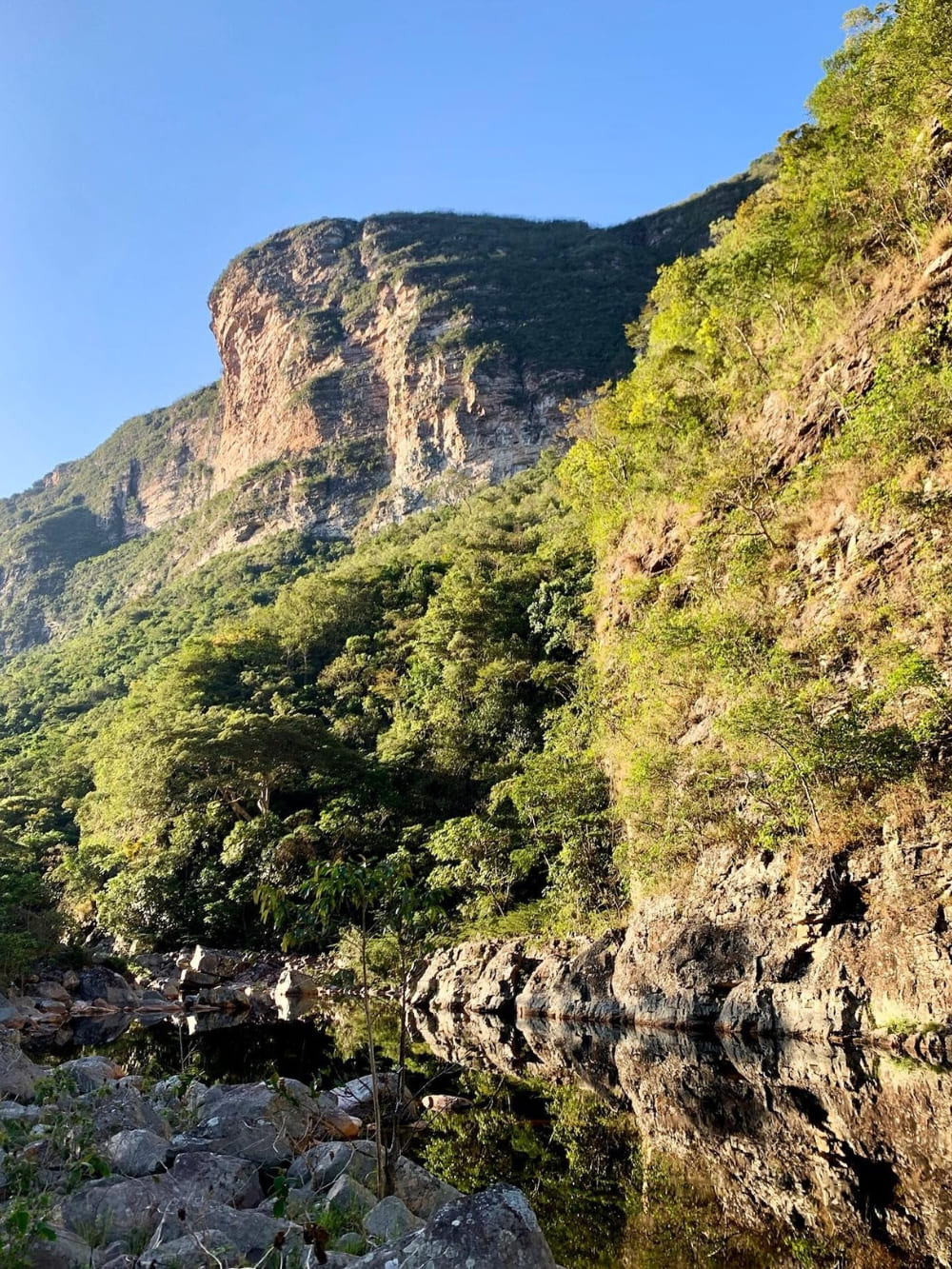 A steep rocky mountain face rises above a lush green forest, perfectly reflected in the calm waters of a river in Vale do Pati.