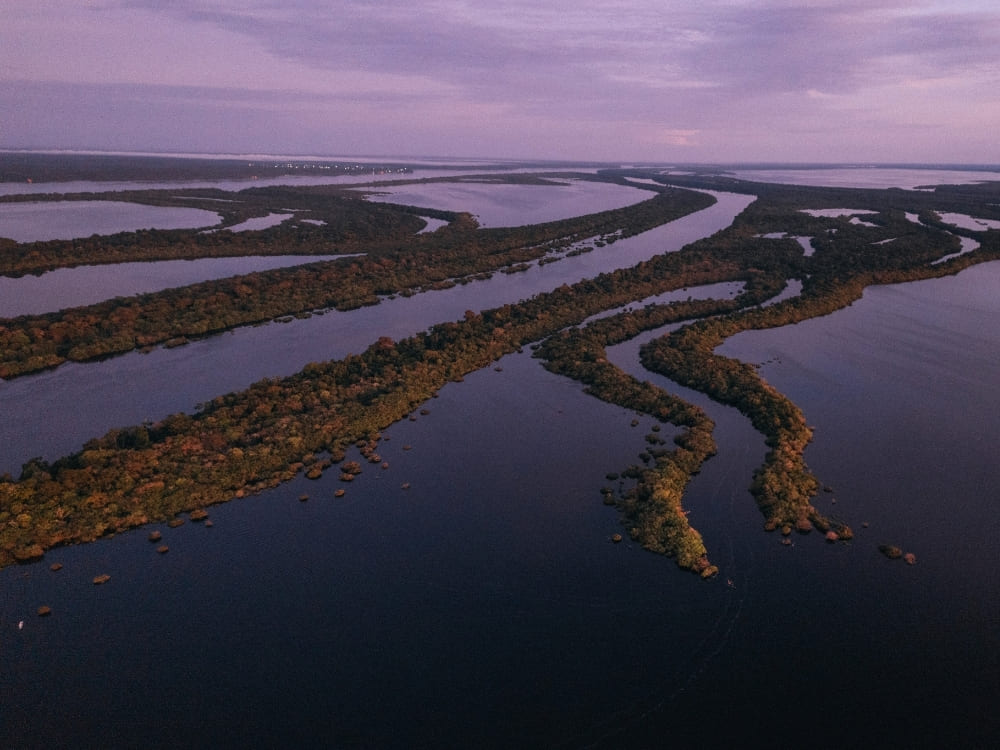 An aerial view of a dark river winding through a dense forest under a purple twilight sky.