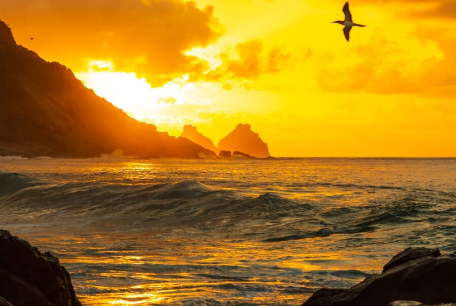 A bird flies over dark ocean waves rolling towards distant rock formations under a brilliant, glowing orange sunset.