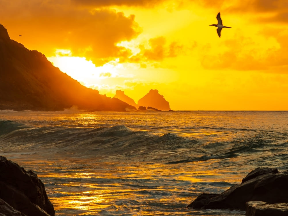 A bird flies over dark ocean waves rolling towards distant rock formations under a brilliant, glowing orange sunset.
