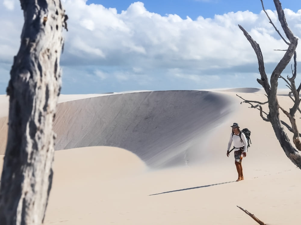 A hiker wearing a backpack walks across expansive, wind-swept white sand dunes near a bare, weathered tree trunk.