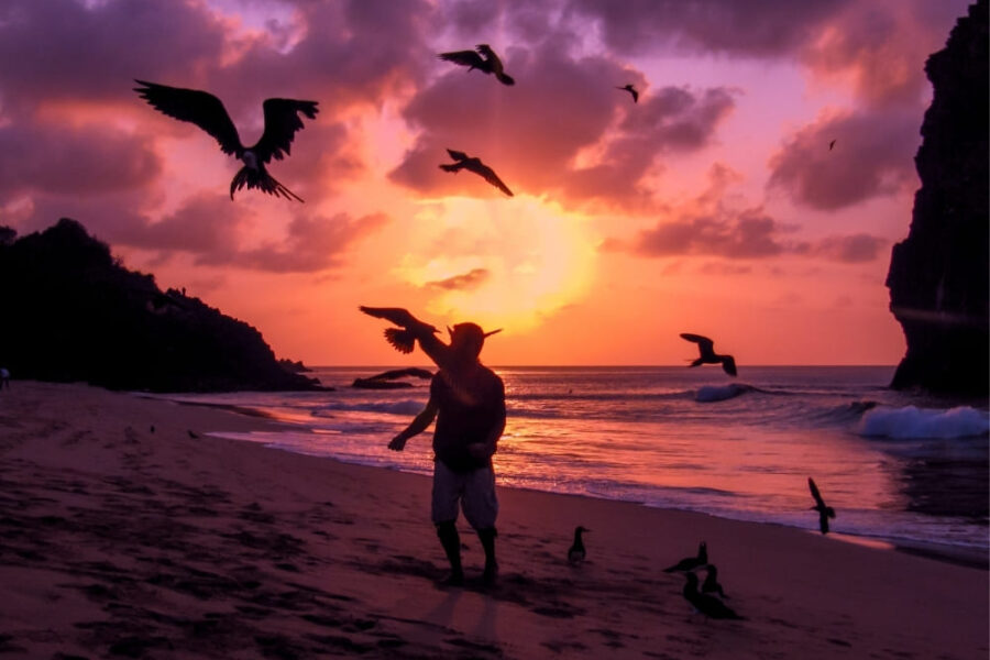 A silhouetted person stands on a sandy beach at sunset, surrounded by several large seabirds flying against a pink and orange sky.