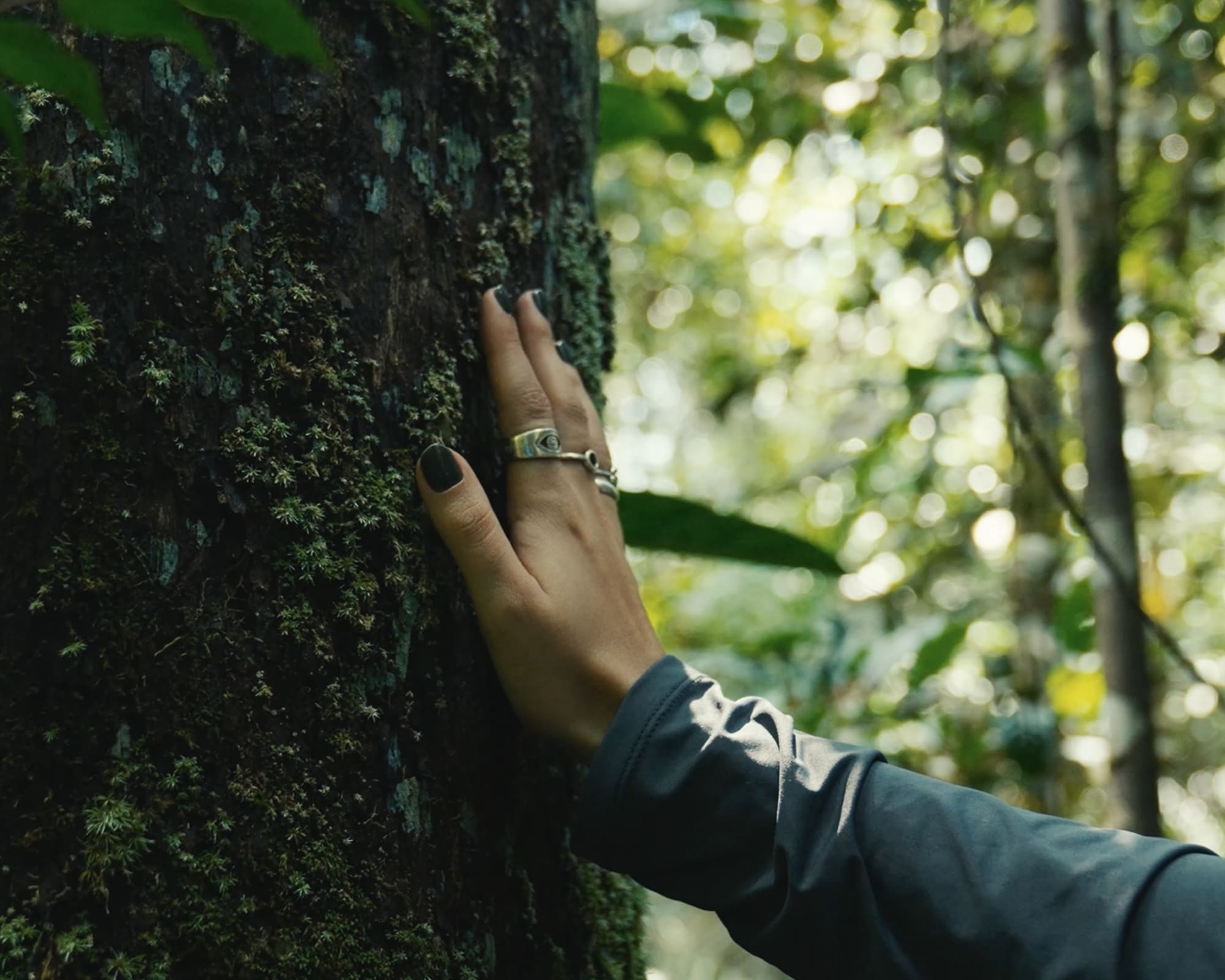Dia da Terra: 10 Projetos de Conservação Transformadores no Brasil