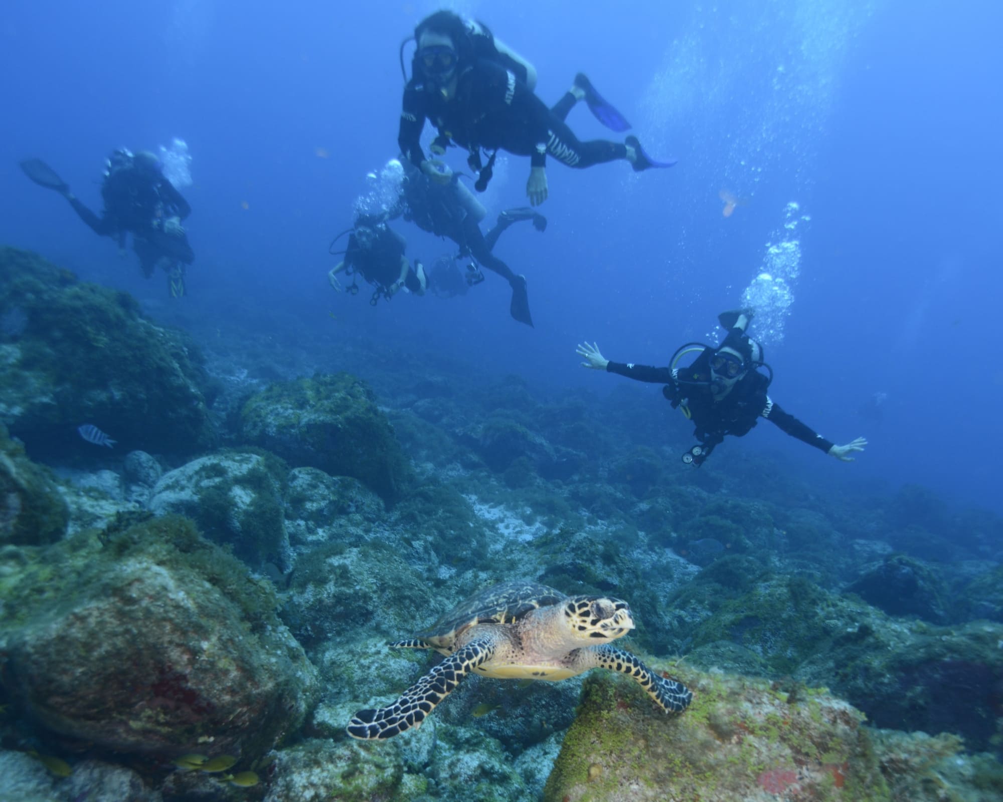 A Father and Daughter Expedition Through the Waters of Fernando de Noronha