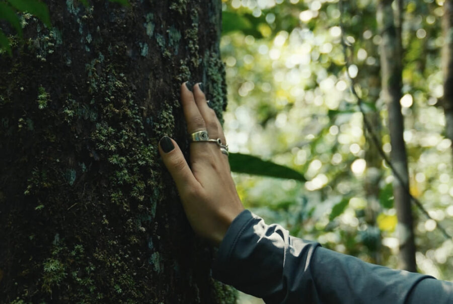 A person's hand gently touching the rough bark of a tree trunk in a lush forest, representing connection with nature and conservation projects in Brazil.