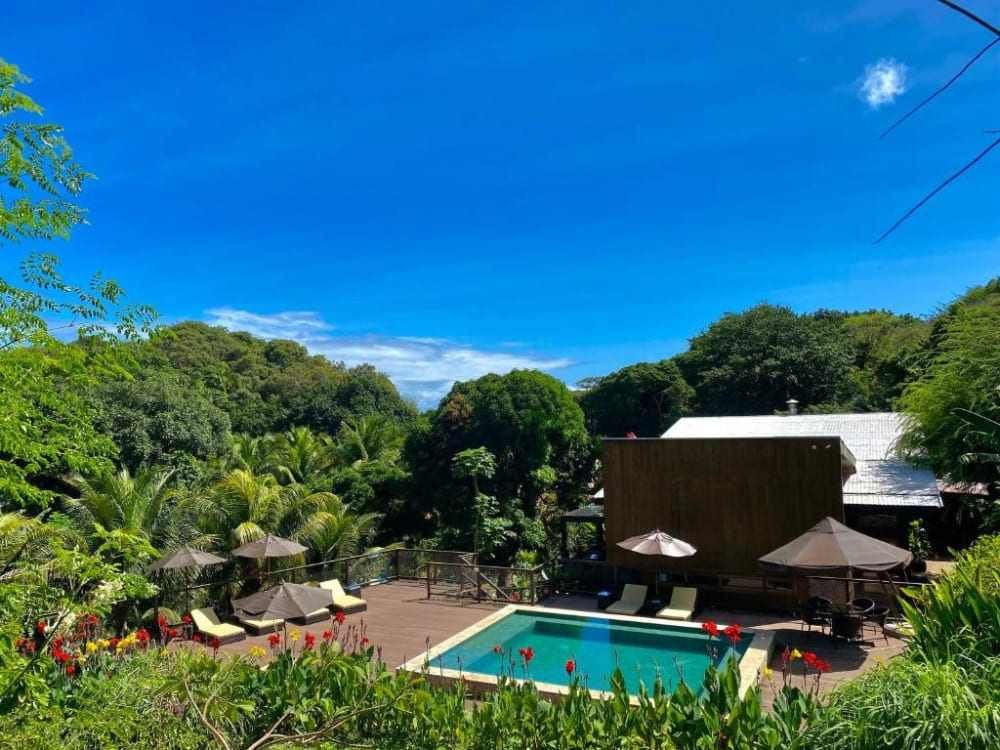 Swimming pool surrounded by dense tropical forest and lounge chairs at a sustainable pousada in Fernando de Noronha.