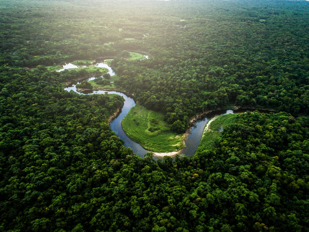 Aerial view of the Amazon River meandering through the dense green canopy of the Amazon Rainforest.
