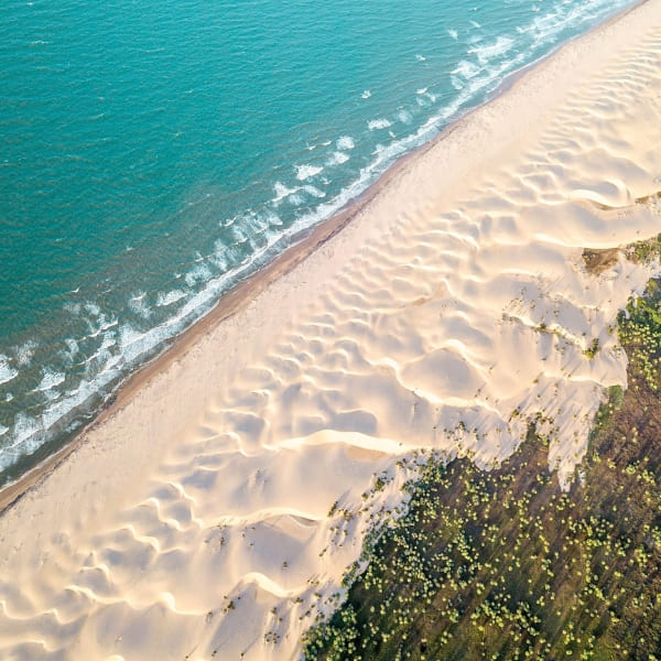 Aerial view of blue ocean waves meeting a sandy beach bordered by coastal dunes and green vegetation.