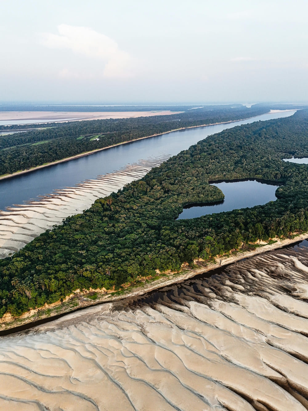 Aerial view of the Amazon River during the dry season showing exposed sandbanks along the forest edge.