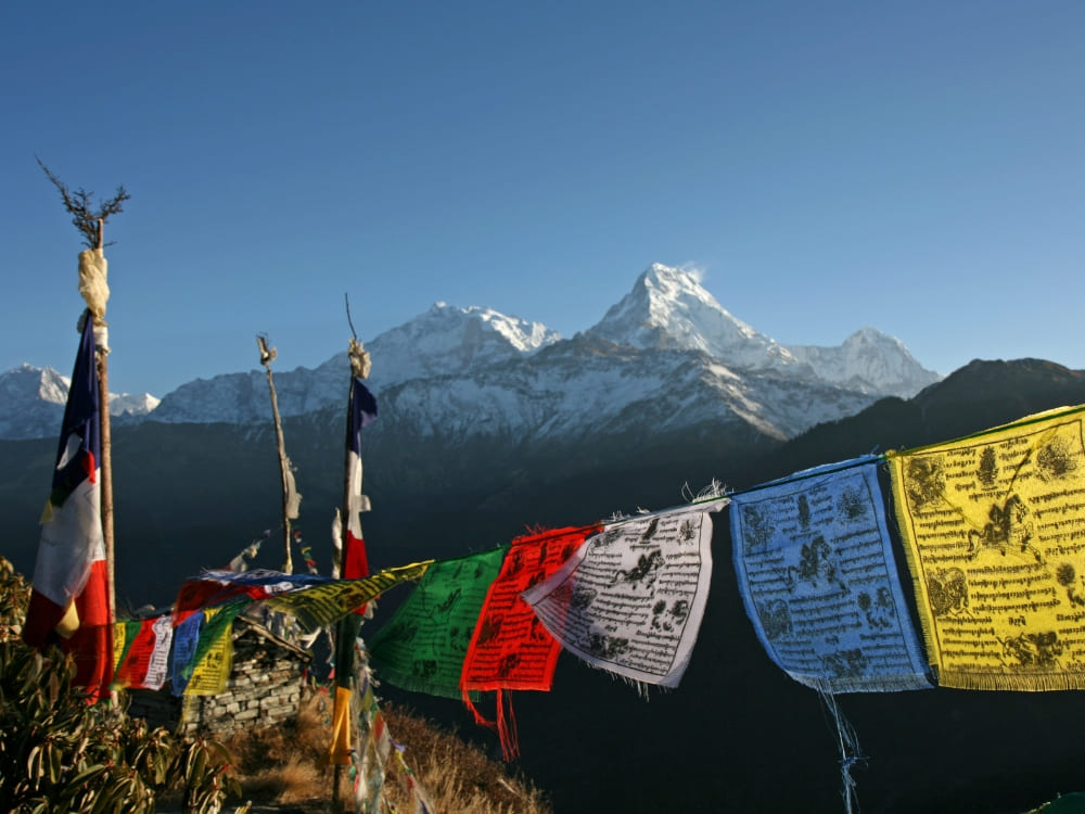 Colorful Tibetan prayer flags fluttering in the wind against the backdrop of the majestic, snow-capped Himalayas , representing the scenic views along the sustainable Mardi Himal trek in the Annapurna region of Nepal.