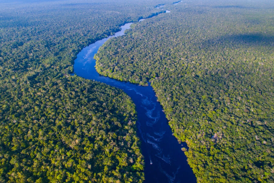 Aerial photo of the Amazon River showing the river's grandeur.