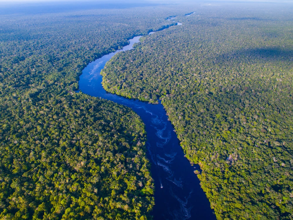 Aerial photo of the Amazon River showing the river's grandeur.