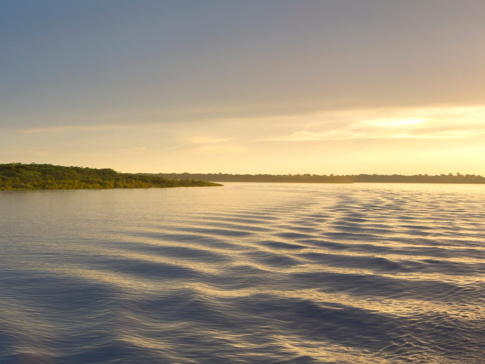 Vue aérienne du fleuve Amazone serpentant à travers la dense canopée verte de la forêt amazonienne. Photo prise depuis l'intérieur du fleuve Amazone avec le soleil brillant sur l'eau.