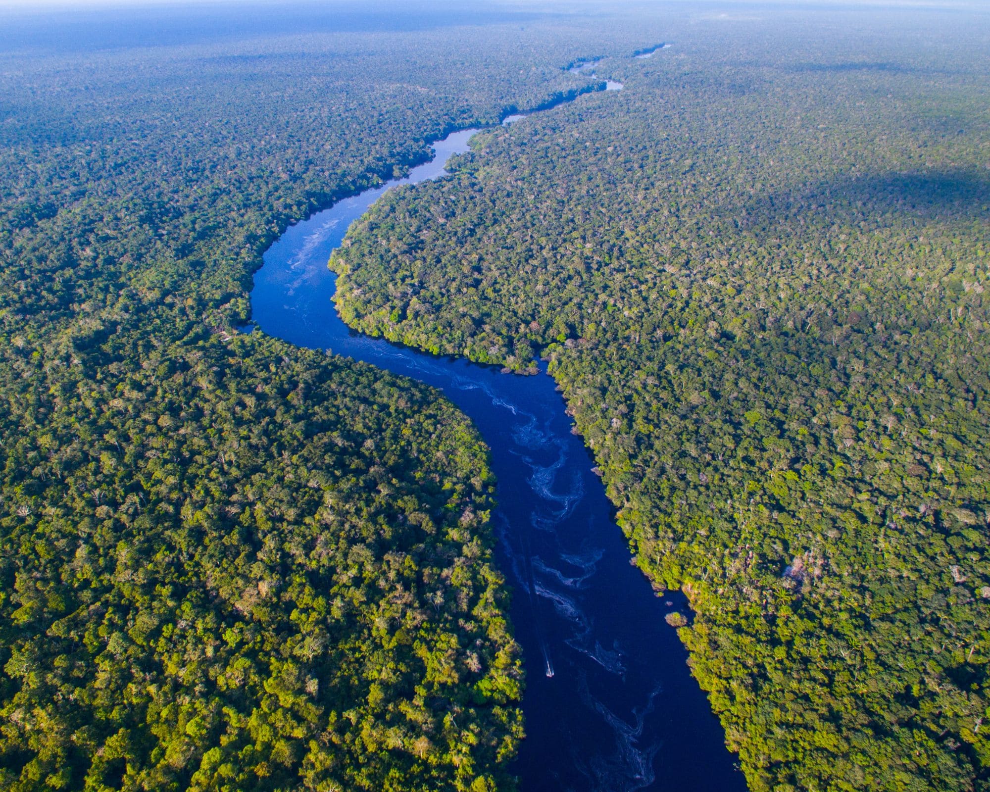 Le fleuve Amazone au Brésil : un guide du plus grand fleuve du monde