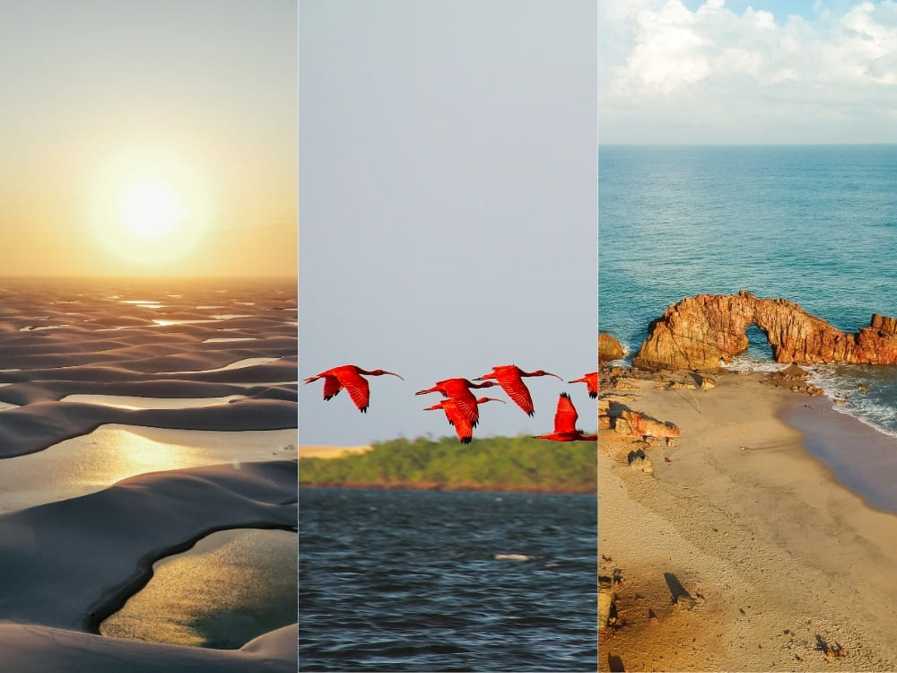 Three vertical panels showing red ibises flying, vast sand dunes at sunset, and the Pedra Furada rock formation on the beach.
